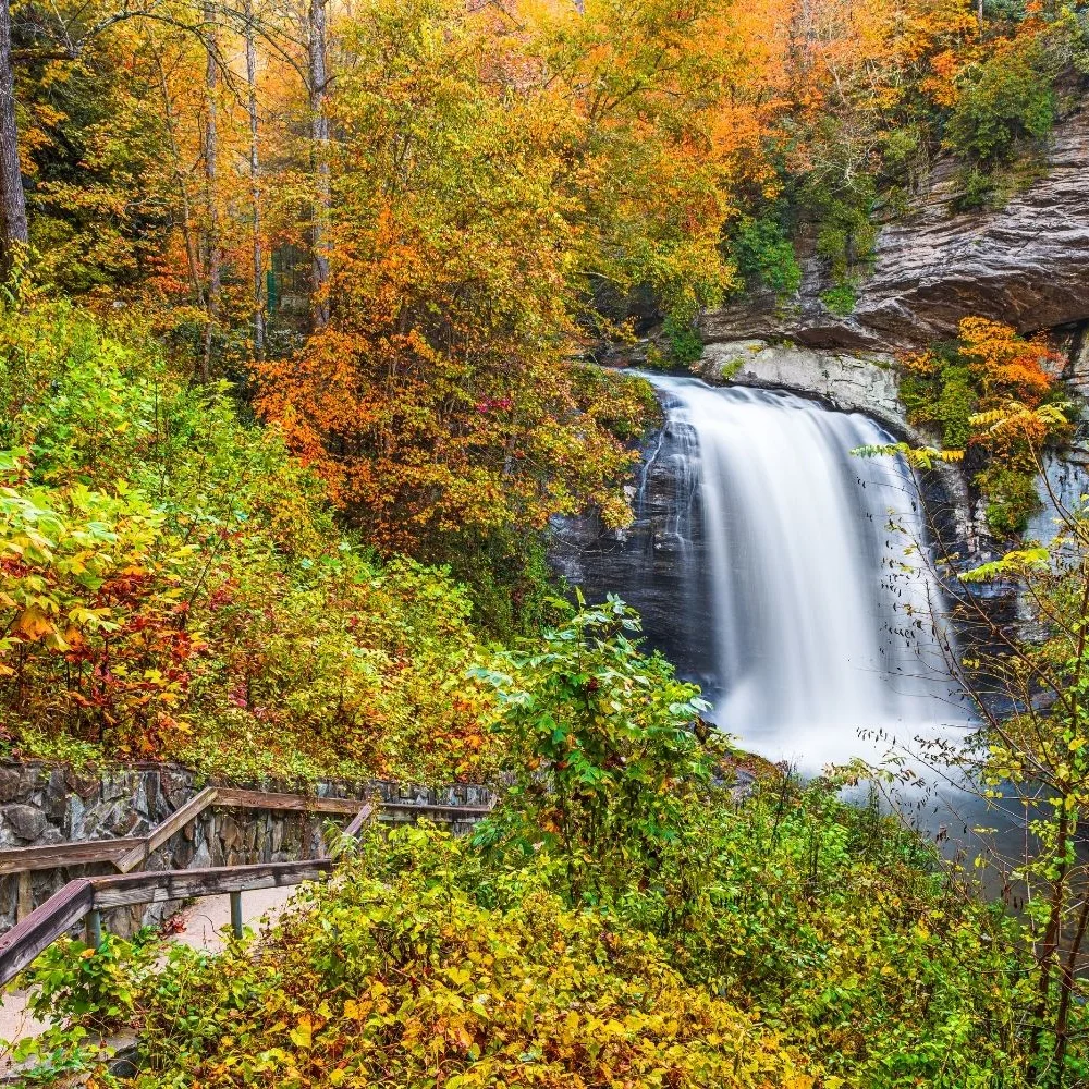 Candler photo5 waterfall